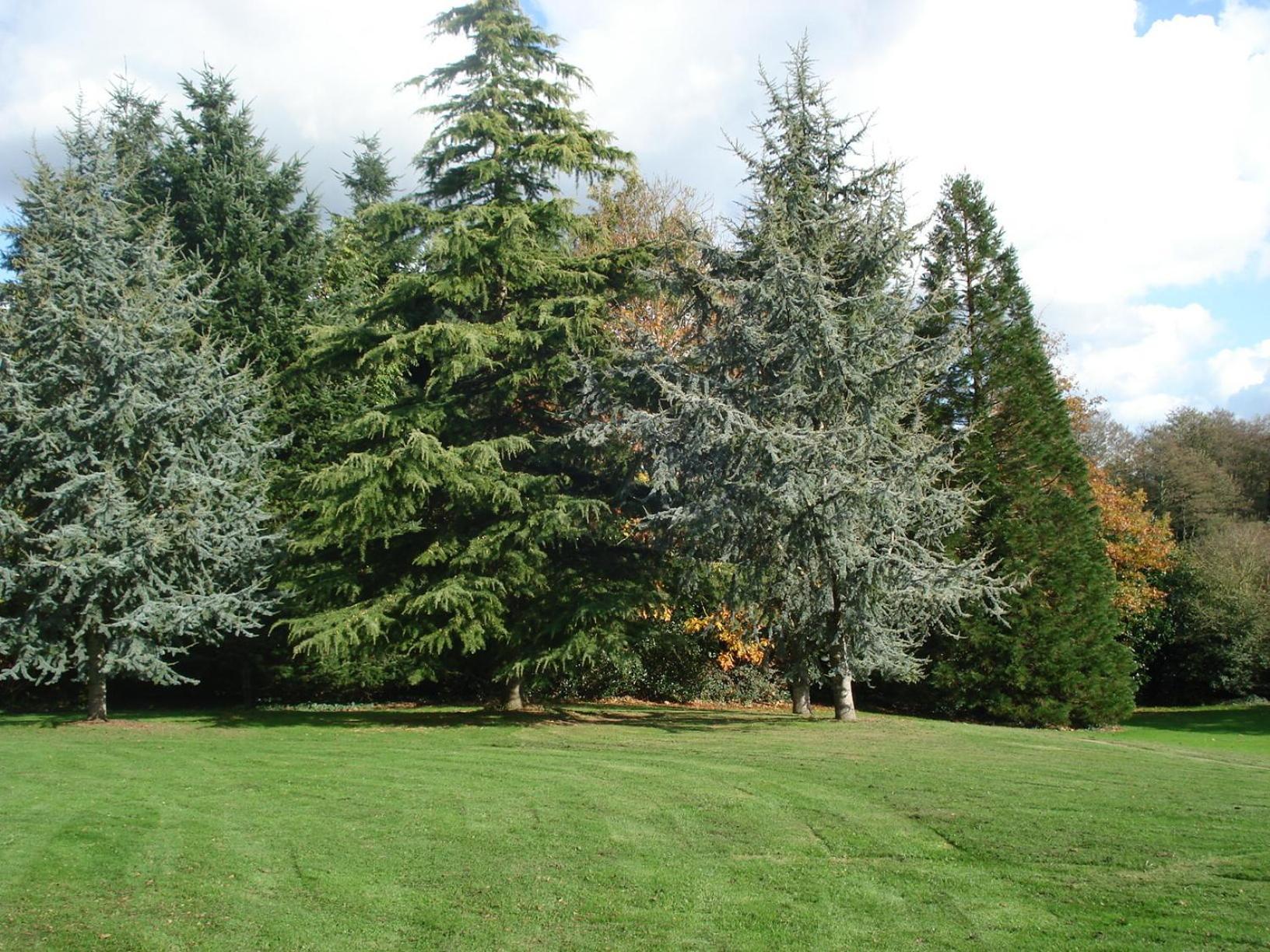 Gite De Cohignac Berric Buitenkant foto